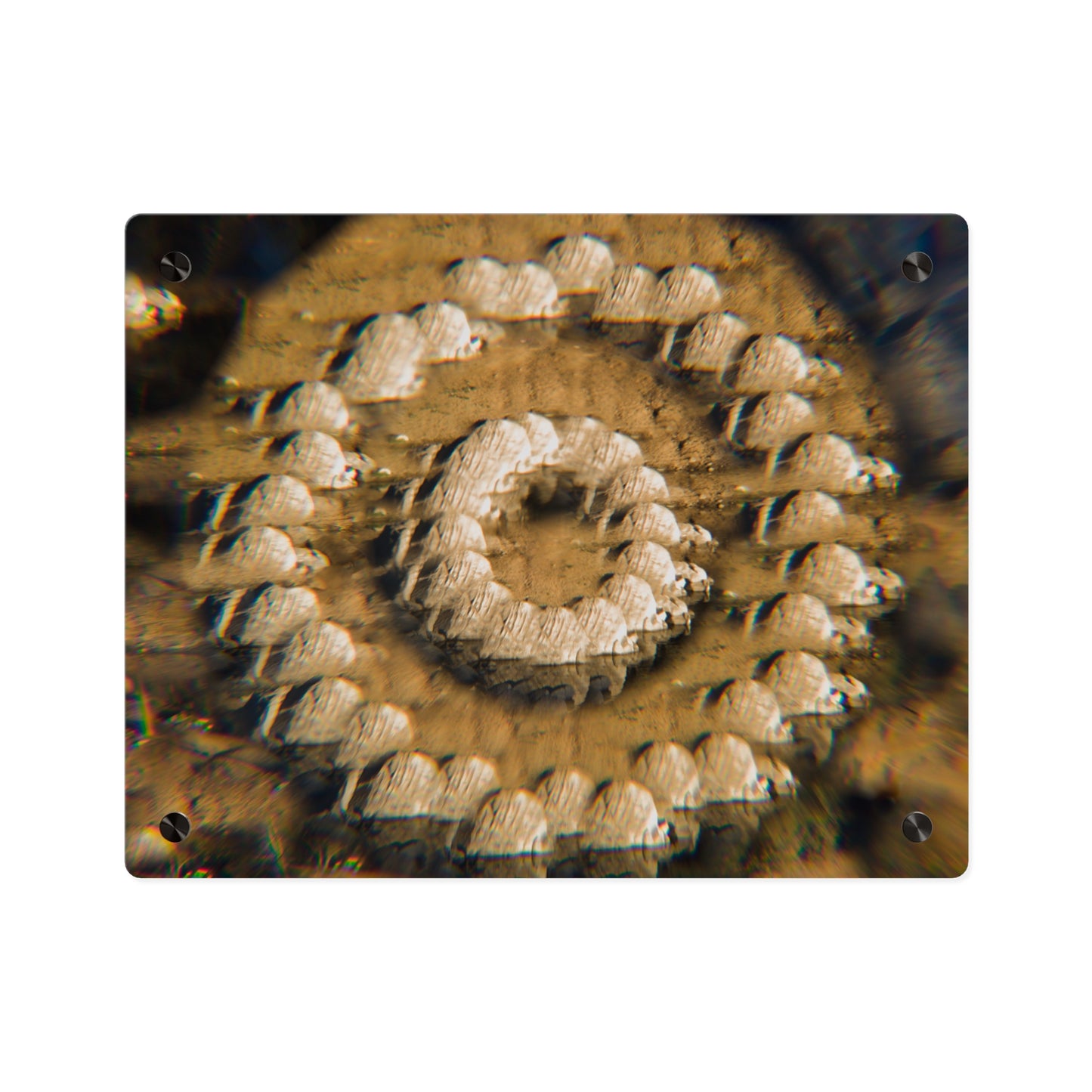 Stone Ring | Optical Acrylic Print