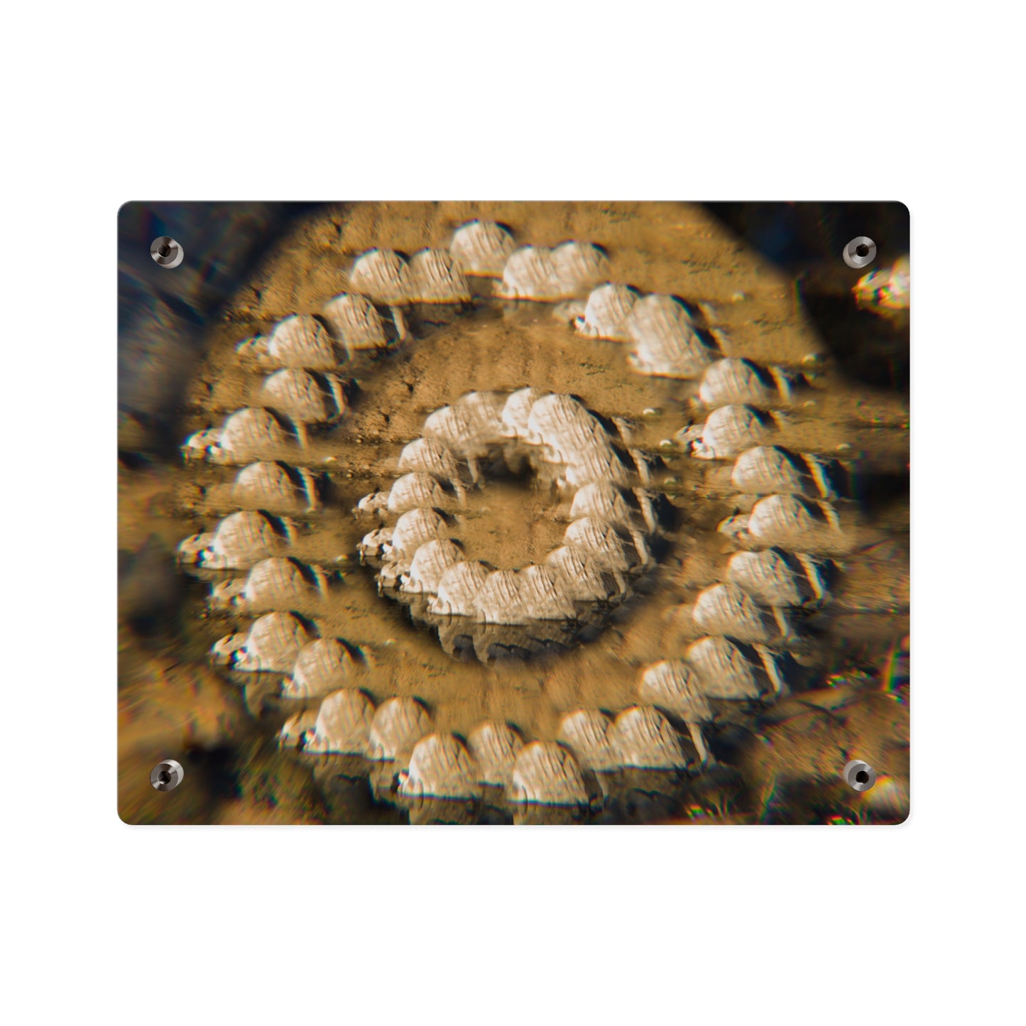 Stone Ring | Optical Acrylic Print