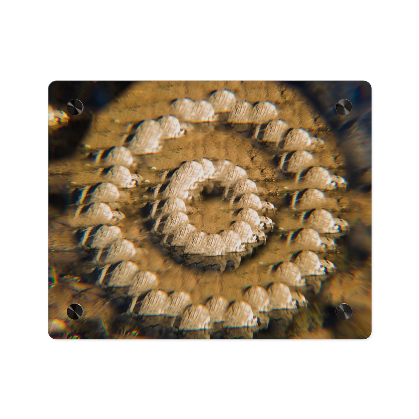 Stone Ring | Optical Acrylic Print