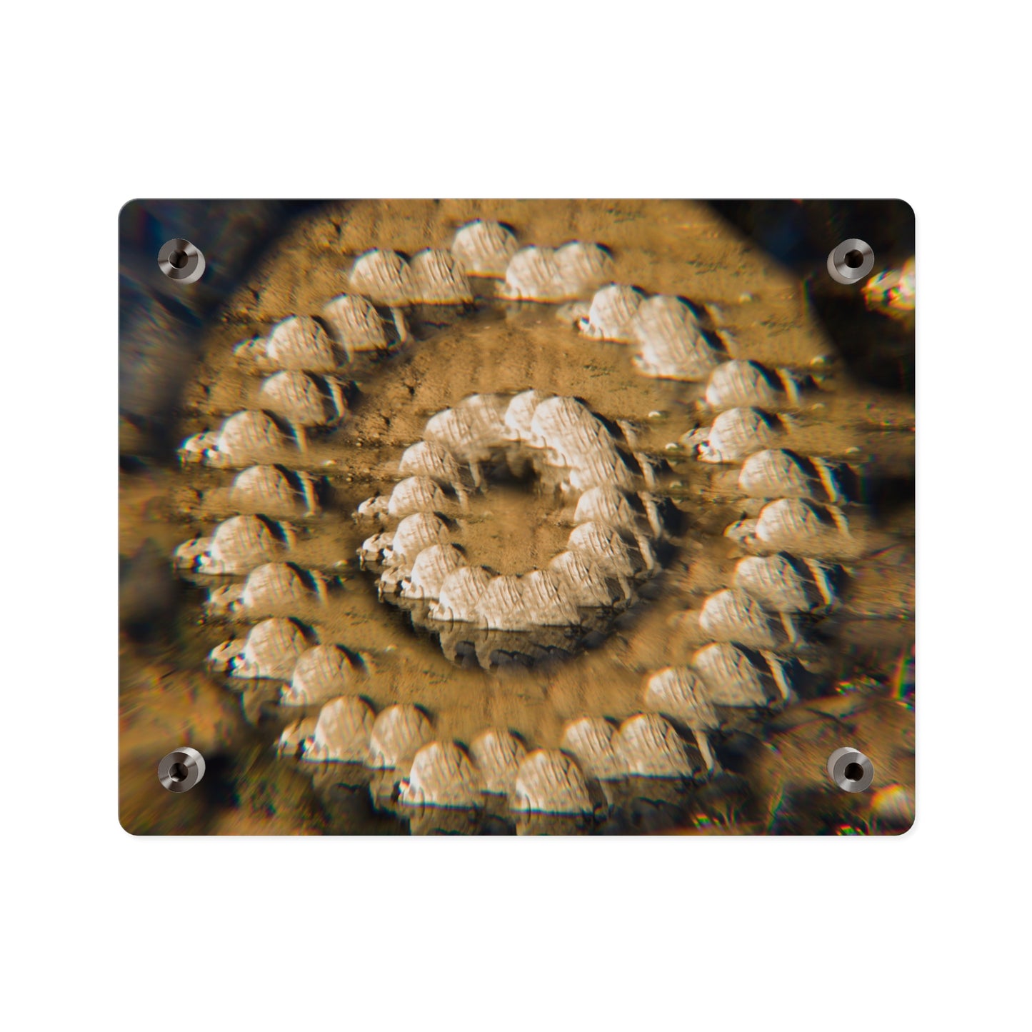 Stone Ring | Optical Acrylic Print